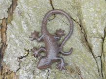 Salamandre - statue en fonte - 10 x 15 cm - marron antique