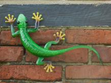 Gekko in kleur - handgeschilderd - metaal - muurdecoratie