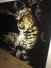 images/productimages/small/glazen-schilderij-luipaard-8-.jpg