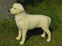 Golden retriever - chien - polystone - 71 cm - en couleur