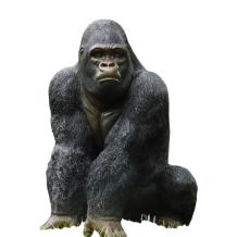 Gorilla - polystone beeld - 50 cm - in kleur en detail