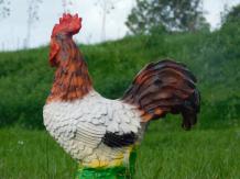 Coq - polystone - 40 cm - en couleur - détaillé