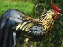 Coq - sur pied - statue en métal - 120 cm - en couleur