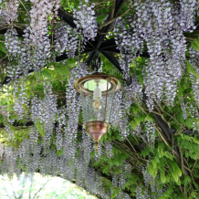 Hanglamp Sneek brons - aan ketting - 54 cm