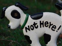 ﻿﻿Hundeschild 'Not Here' - Gartenstab, Gusseisen