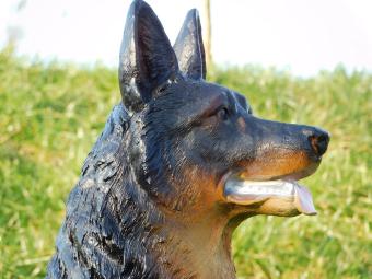 Herdershond - polystone beeld - zittend - 75 cm - in kleur