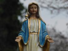 Maria - polystone beeld - 44 cm - in kleur en detail