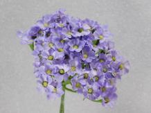 Branche d'hortensia - Pourpre - 74 cm