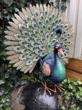 Metalen trotse pronkende pauwhaan, vol in kleuren