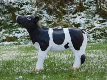 Kalb - Polystone - 60 cm - in Farbe - detailliert