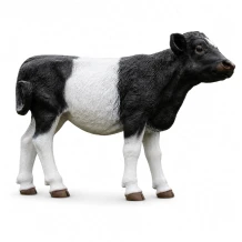 Tuinbeeld kalf - zwart/wit - natuurgetrouw dierenfiguur