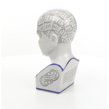Tête de phrénologue en porcelaine colorée en bleu