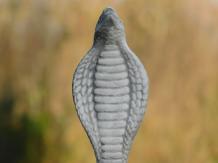 Kobra – Tierstatue aus Stein – 26 cm – klassische Dekoration