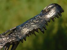 Sculpture Tête de crocodile - Alu - Abstrait