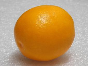 Kunstsinaasappel – Decoratief Kunstfruit