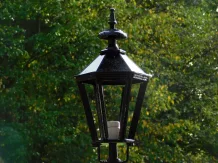 Staande buitenlamp met Franse lelie – 102 cm – zwart of groen