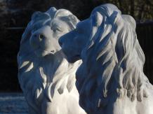 Sitzender Löwe - Polystone - 78 cm - weiß/grau - links
