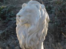 Sitzender Löwe - Polystone - 78 cm - weiß/grau - rechts