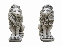 2 Beelden van leeuwen - steen - natuurgetrouw - 52 cm hoog