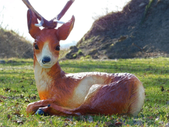 Liegender Hirsch - Polystone Statue - 80 cm - in Farbe