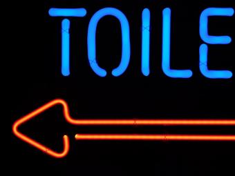 Planche à toilettes fluo - 56 cm - bleu avec rouge - light