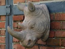 Neushoorn kop - polystone - 38 cm - grijs - gedetailleerd