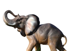 Beeld olifant - 55 cm - dierenfiguur van kunststof