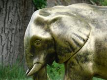 images/productimages/small/olifant.poly.goud.6010.jpg