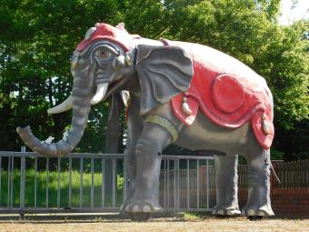 Eenmalig: Olifant XXL - 340 x 400 cm - Uniek Beeld