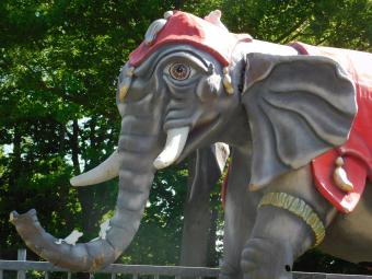 Eenmalig: Olifant XXL - 340 x 400 cm - Uniek Beeld