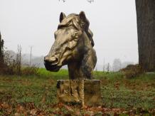 Tuinbeeld paard, paardenhoofd beeld groot, goud met zwart