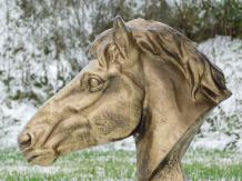 Paardenhoofd - polystone - 64 cm - goud met donker tinten