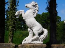 Steigerend paard, groot massief gegoten steen, prachtig !!