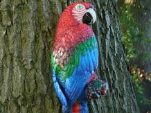 Papegaai - gietijzer beeld - 65 cm - rood - kleurrijk