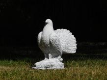 Pigeon Fantail - statue animal en pierre - 33 cm - classique