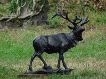 Schönes Bild eines stehenden Damhirsches, Tier Statue