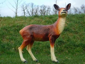 Cerf - statue en polystone - 80 cm - en couleur - détaillée