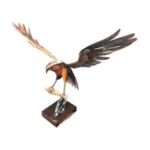 Adelaar - vangt vis - 54 cm - in kleur - 'Iron Eagle'