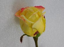 Acier Rose - Jaune - 71 cm