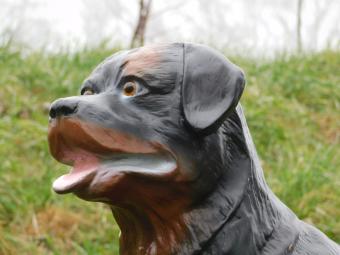 Rottweiler - chien - polystone - 80 cm - marron/noir