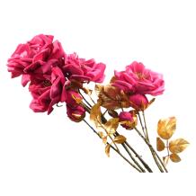 Roos Tak - Goud Beauty - 122 cm