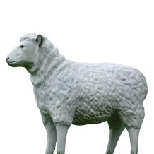 Schaap - polystone beeld - 80 cm - witte kleur - met details