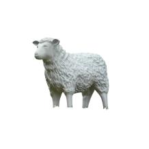 Lammetje – 30 cm – polystone decoratie – wit beeld