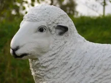 Polystone schaap beeld – realistisch dierenbeeld – 45 × 55 cm