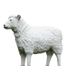 Schaap - 80 cm - Polystone - Tuinbeeld - Dierenbeeld