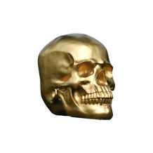 Schedel - polystone beeld - 23 cm - gouden afwerking