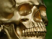 Totenkopf - Polystone-Statue - 23 cm - Gold-Finish