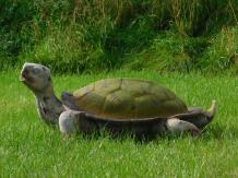 Schildkröte - Polystone - 80 cm - in Farbe - Vintage-Look