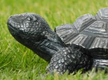 Schildkröte - Magnesia - 32 cm - grau - detailliert
