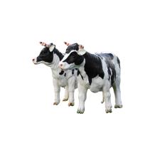 Set van koeien - met hoorns - polystone - gedetailleerd